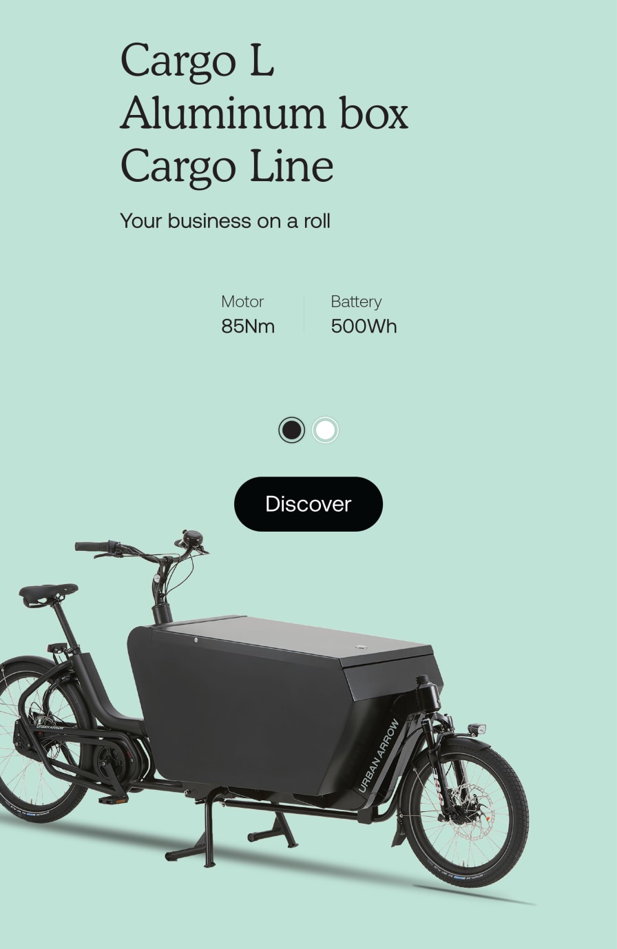 Arrow 9 electric bike price new arrivals